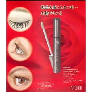 シェルマ　アイラッシュファクト まつ毛美容液　8ｍL(まつ毛美容液)