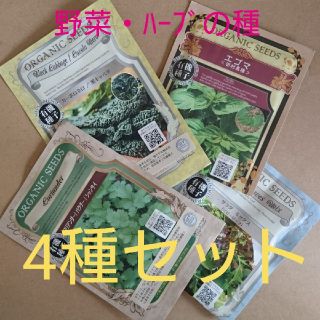 野菜の種 ハーブの種 4種セット 有機種子 種子 種 無農薬 オーガニック(野菜)