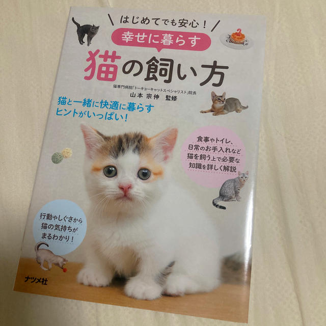 はじめてでも安心！幸せに暮らす猫の飼い方 エンタメ/ホビーの本(住まい/暮らし/子育て)の商品写真