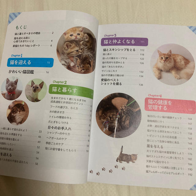 はじめてでも安心！幸せに暮らす猫の飼い方 エンタメ/ホビーの本(住まい/暮らし/子育て)の商品写真