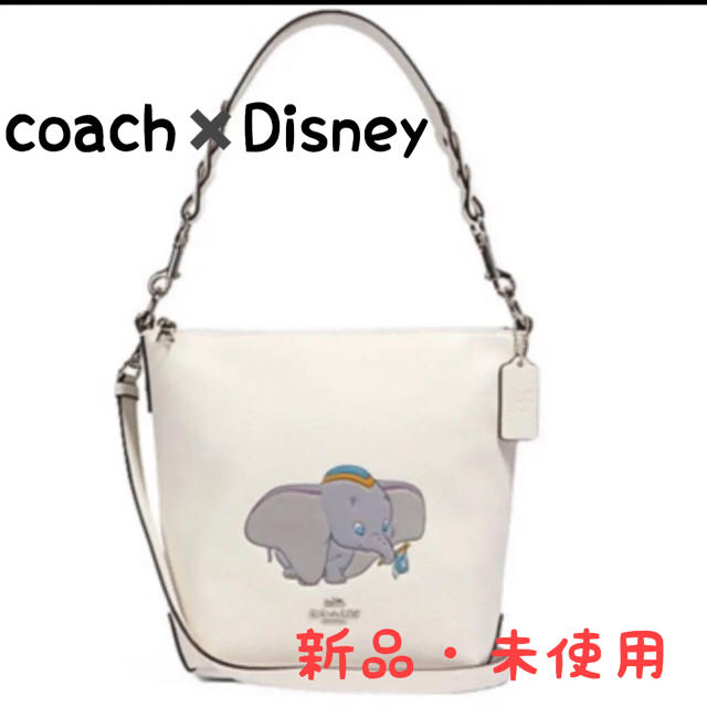 COACH ダンボ 2WAYショルダーバッグ