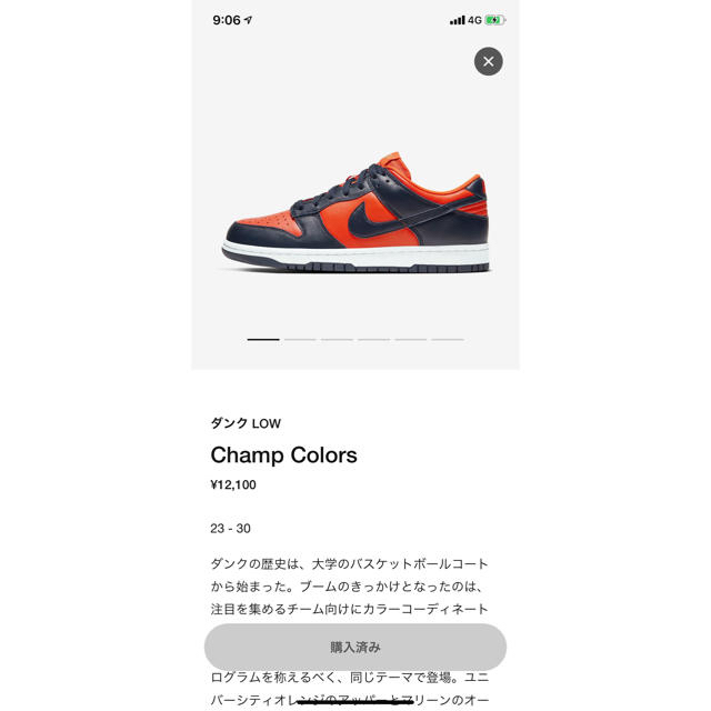 NIKE(ナイキ)のdunk low champ colors 26.5 メンズの靴/シューズ(スニーカー)の商品写真