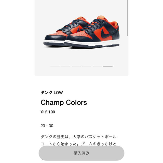 NIKE(ナイキ)のNIKE dung SP  LOW メンズの靴/シューズ(スニーカー)の商品写真