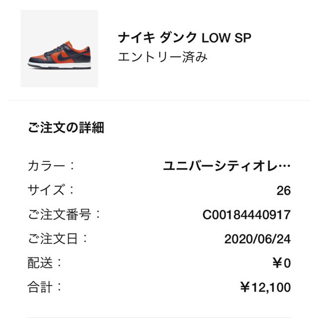 NIKE(ナイキ)のNIKE dung SP  LOW メンズの靴/シューズ(スニーカー)の商品写真