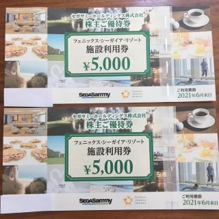 シーガイアリゾート　施設利用券　1万円分(遊園地/テーマパーク)