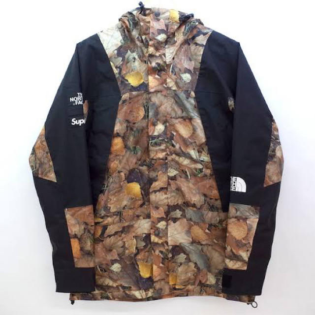 Supreme - 16AW mountain light jacket leaves