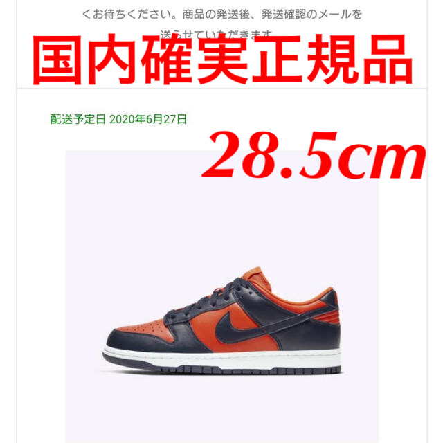 NIKE ナイキ　dunk ダンク　チャンプ　28.5cmスニーカー