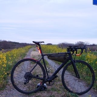【値下げしました】canyon ultimate cf slx 54cm ホイ(自転車本体)
