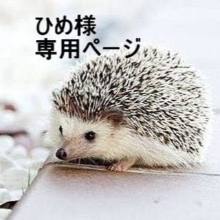 「ひめ様 専用ページ」(タイツ/ストッキング)