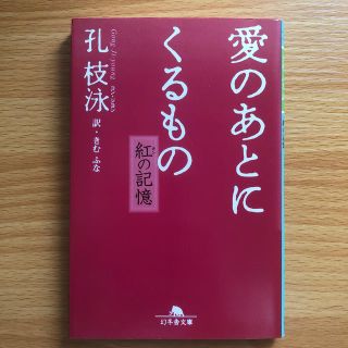 愛のあとにくるもの 紅の記憶(文学/小説)