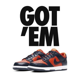 ナイキ(NIKE)のNIKE DUNK LOW Champ Colors(スニーカー)