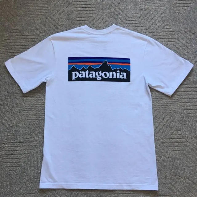 patagonia パタゴニア Tシャツ P-6ロゴ・レスポンシビリティー