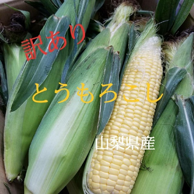 🌽とうもろこし🌽山梨県産(訳あり) 食品/飲料/酒の食品(野菜)の商品写真