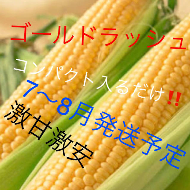 激甘すぎゴールドラッシュとうもろこしコンパクト入るだけ7〜8月中発送予定! 食品/飲料/酒の食品(野菜)の商品写真