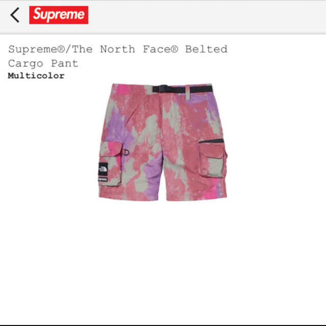 Supreme(シュプリーム)のsupreme the north face pants メンズのパンツ(その他)の商品写真