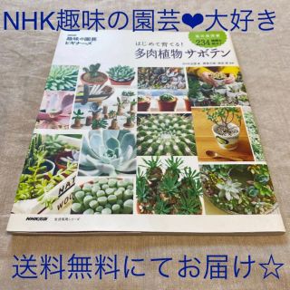 Nhk 趣味の園芸ビギナーズ はじめて 多肉植物 インテリア サボテンの通販 By Koishi S Shop ラクマ