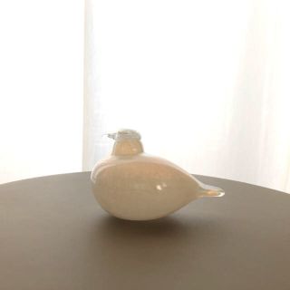 イッタラ(iittala)のLittle Tern ホワイト Oiva Toikka バード サインなし(置物)