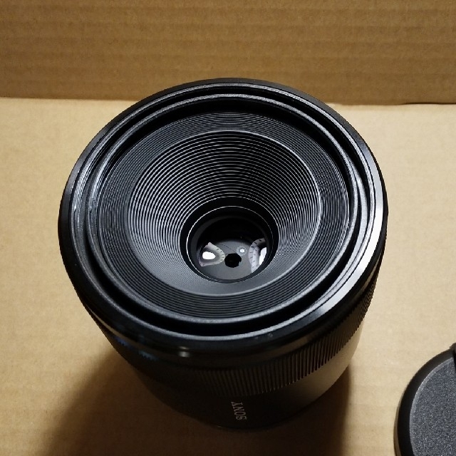 SONY(ソニー)のSONY FE50mm F2.8 Macro 美品 + FE24-70mmF4  スマホ/家電/カメラのカメラ(レンズ(単焦点))の商品写真