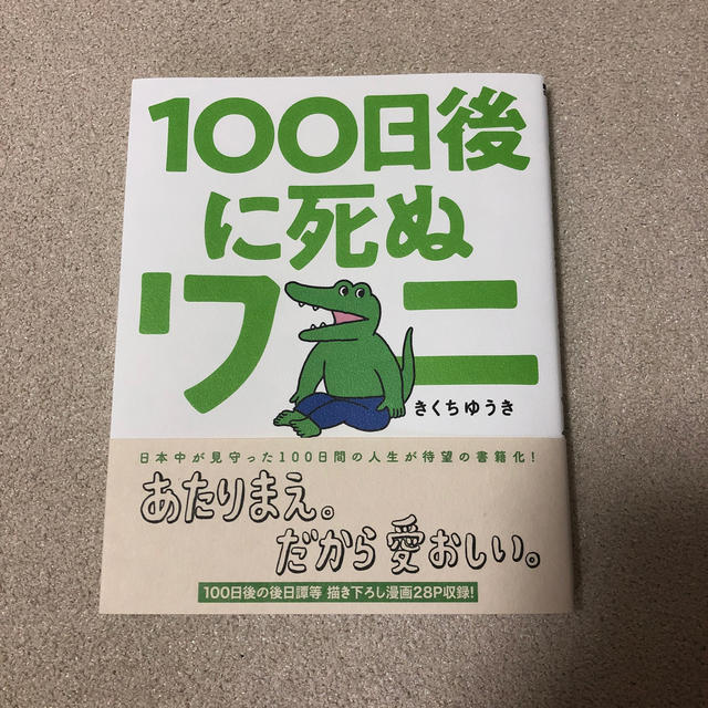 １００日後に死ぬワニ エンタメ/ホビーの漫画(その他)の商品写真