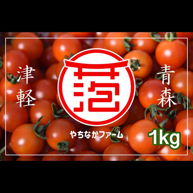 農学博士のミニトマト✨【Dr.トマト 1kg】青森津軽産 食品/飲料/酒の食品(野菜)の商品写真