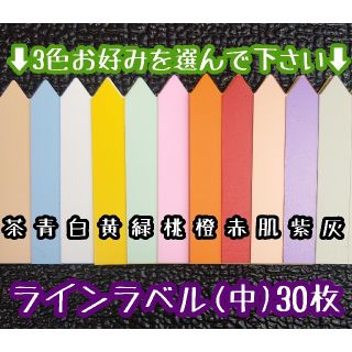 ◎ 30枚 ◎( 中 )選べるカラー ラインラベル 園芸ラベル カラーラベル(その他)