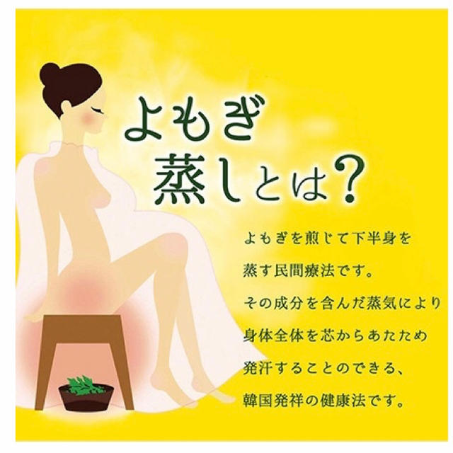 よもぽか★よもぎ蒸し パット5箱30枚セット⭐︎冷え性・温活・妊活・不妊にも コスメ/美容のリラクゼーション(その他)の商品写真