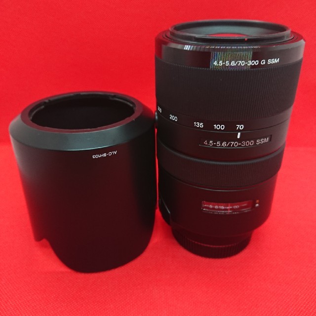 AF 70-300mm F4.5-5.6G SSM  SAL70300G