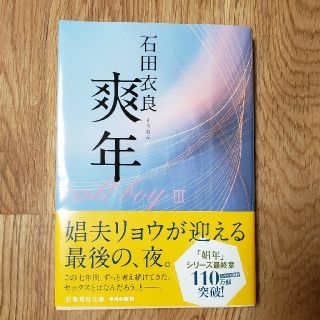 爽年(文学/小説)