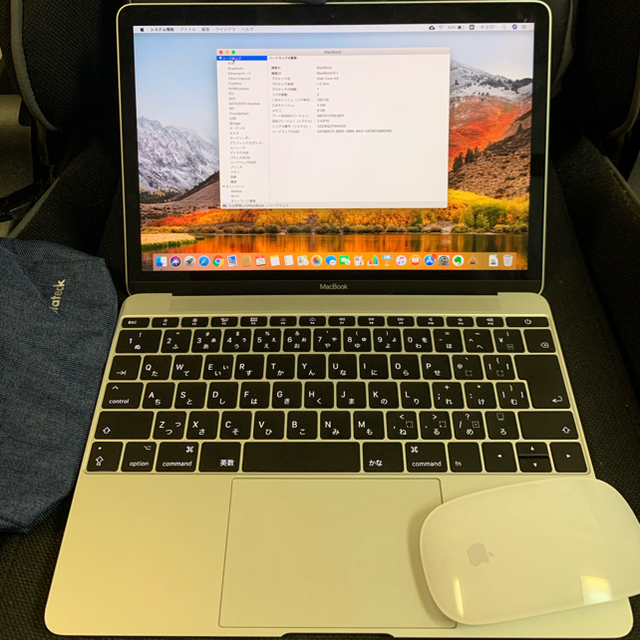 ノートPC(充放電6回)Macbook retina2017 12インチグレー 256GB