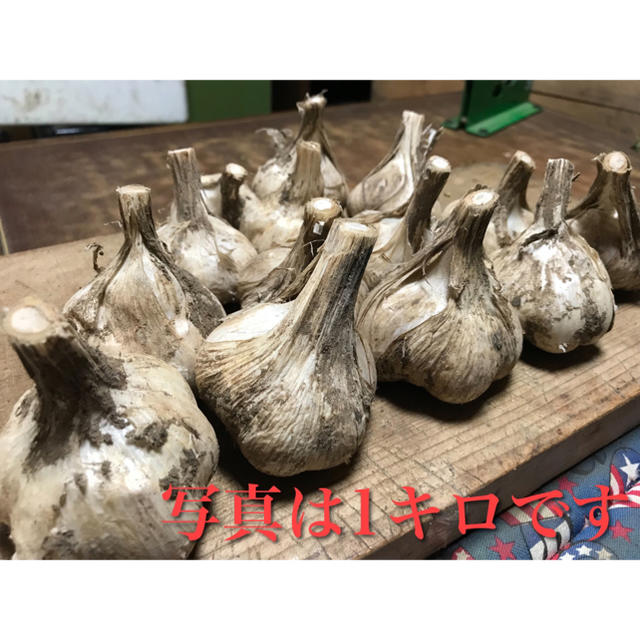 福地ホワイト発祥の地 福地産 福地ホワイト　M~L 3kg 生にんにく 青森県産 食品/飲料/酒の食品(野菜)の商品写真