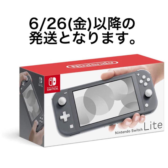 Nintendo Switch Lite グレー 本体 ニンテンドー