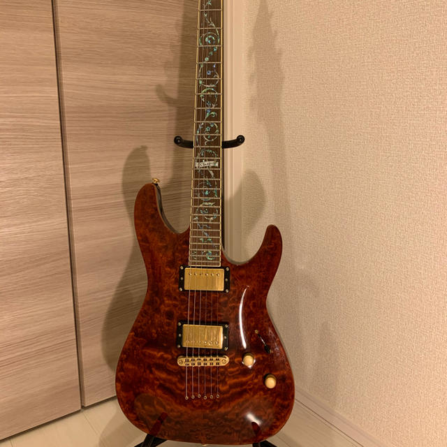 Schecter Diamond Series  エレキギター