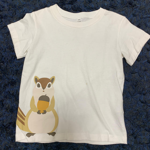 MUJI (無印良品)(ムジルシリョウヒン)の無印　動物Tシャツ　2枚 キッズ/ベビー/マタニティのキッズ服男の子用(90cm~)(Tシャツ/カットソー)の商品写真