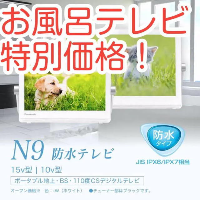 パナソニック テレビ  プライベート・ビエラ UN-15N9 Panasonic