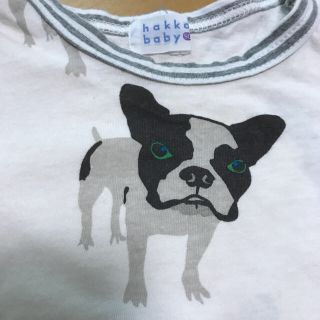 ハッカキッズ(hakka kids)のten様専用　ハッカ　90サイズ　Tシャツ　ブルドック(Tシャツ/カットソー)