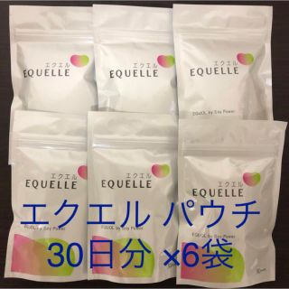 オオツカセイヤク(大塚製薬)のエクエル 大塚製薬 新品未開封 30日分パウチ6袋(その他)