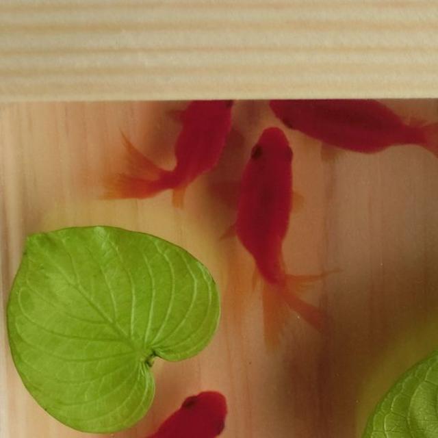 アート 扇 純日本製 琉金 プレゼント 贈り物 ギフト 樹脂金魚 3D お中元 ハンドメイドのおもちゃ(ミニチュア)の商品写真