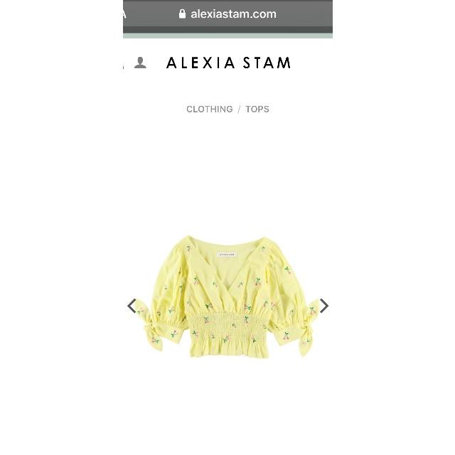 ALEXIA STAM(アリシアスタン)のアリシアスタン  Embroidery Puff SleeveTop Yello レディースのトップス(シャツ/ブラウス(半袖/袖なし))の商品写真