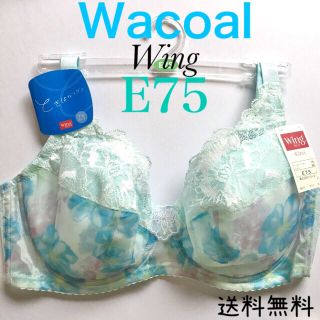 ワコール(Wacoal)のWacoal ワコール ブラジャー E75(ブラ)