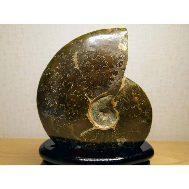 縫合線 397g アンモナイト 化石 オパール アンモライト 原石 縫合線 397g アンモナイト 化石 オパール アンモライト 原石