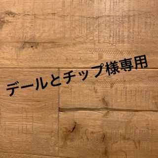 デールとチップ様専用(バスケットボール)