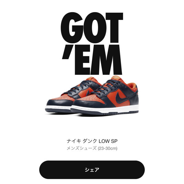 スニーカーNIKE ダンク LOW champ colors 新品