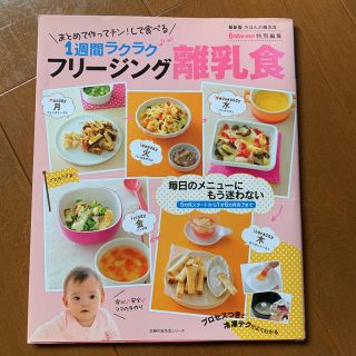 フリージング離乳食  レシピ本(料理/グルメ)