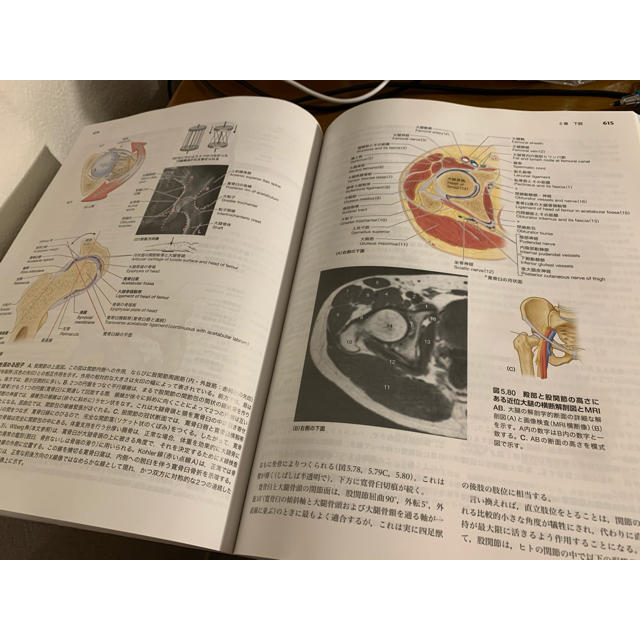 憧れの 臨床のための解剖学 健康 医学