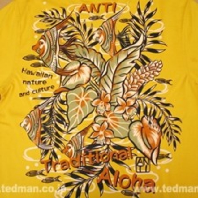 TEDMAN(テッドマン)の値下げ　エフ商会　ANTI　長袖Tシャツ　KEIGO.Tデザイン メンズのトップス(Tシャツ/カットソー(七分/長袖))の商品写真