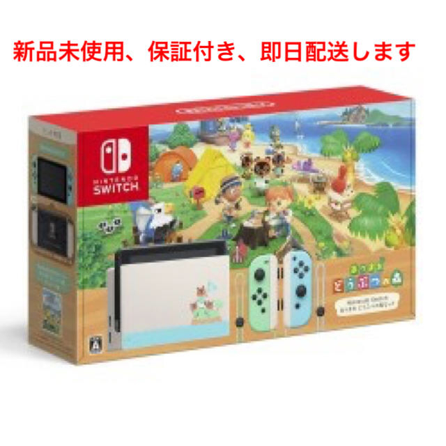 Nintendo Switch あつまれどうぶつの森セット