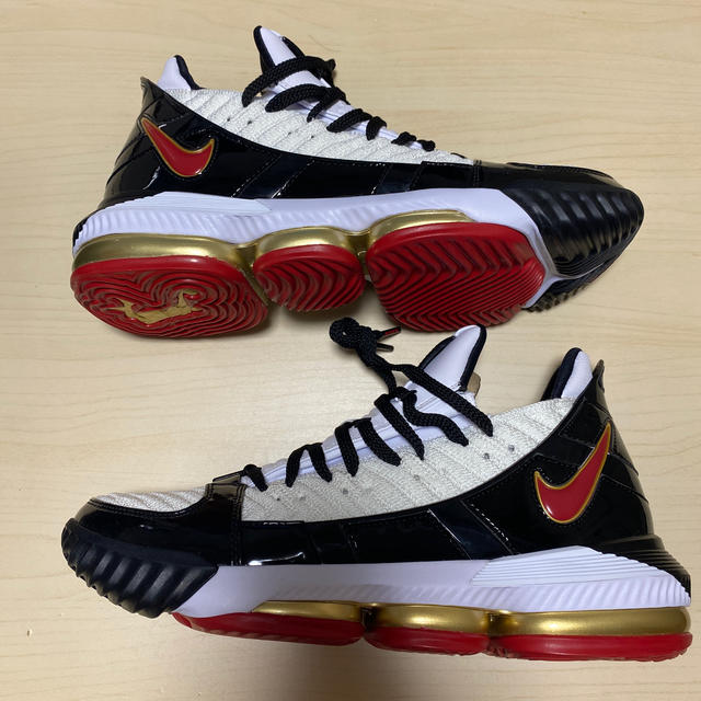 nike lebron xvi sb