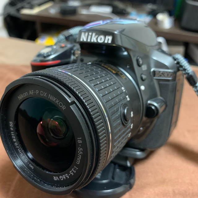 Nikon D5300 AF-P 美品 希少グレーカラー