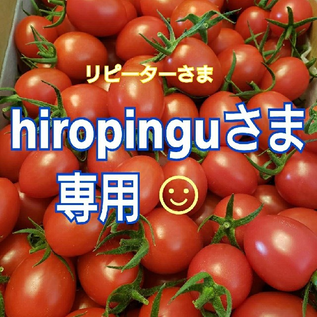 ４㎏ hiropinguさま専用です☺️ ミニトマト 食品/飲料/酒の食品(野菜)の商品写真