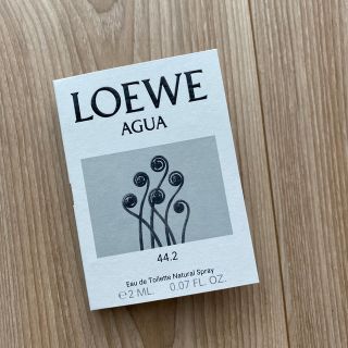 ロエベ(LOEWE)のAGUA (ユニセックス)